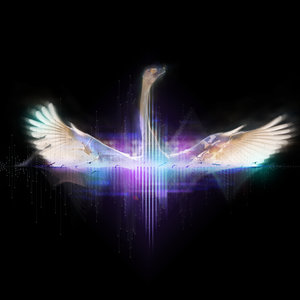 20. Swan Song - Opera North, Urban Projections and Manchester Collective (UK)